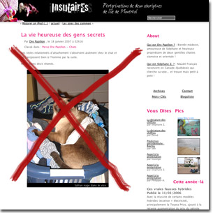 Blogue avec chat.