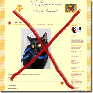 Blogue avec chat.