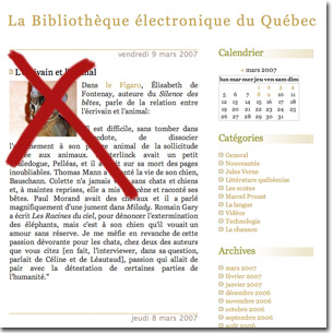 Blogue avec chat.