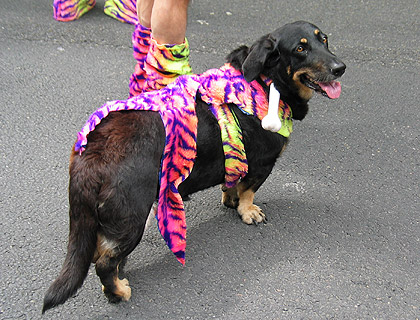Gay Pride 2004