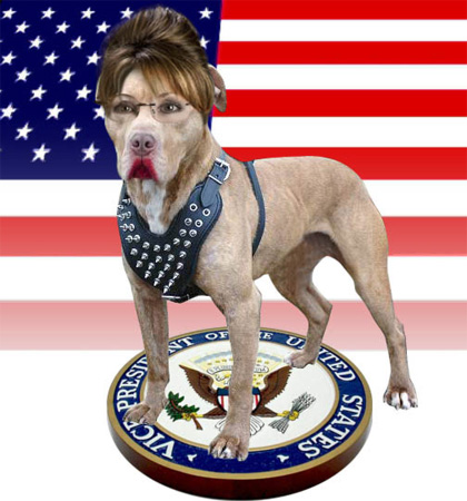 Sarah Palin, Governor Of Alaska.