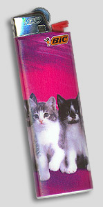 briquet chatons