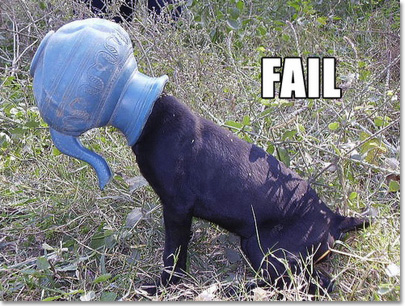 Fail Dog.