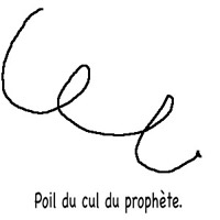 Poil du cul du prophète.
