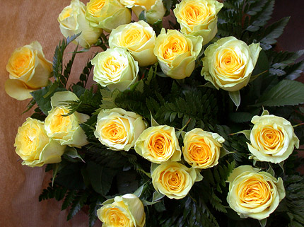 roses_1.jpg