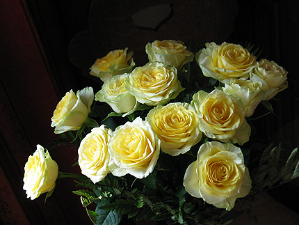 roses