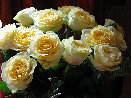 roses