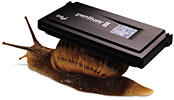 Apple, snail Intel.
