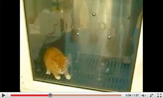 2007-kitty-washing-machine.