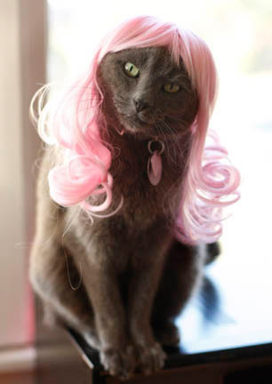 2007-kitty-wig.