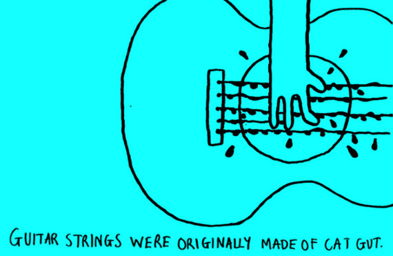Guitar strings were originally made of cat gut.