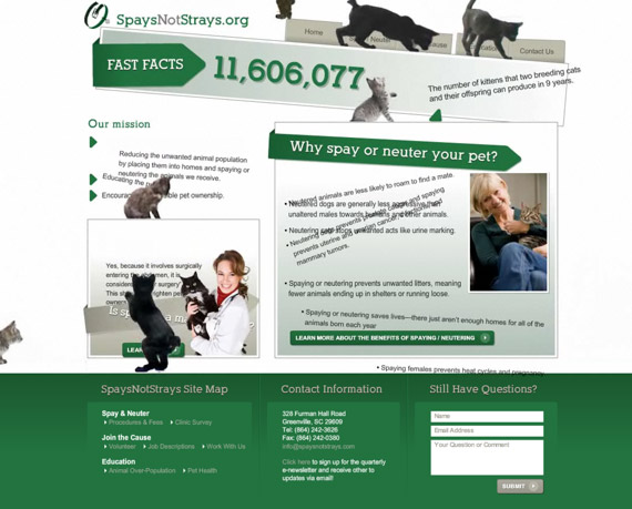 2009-surpopulation-feline.