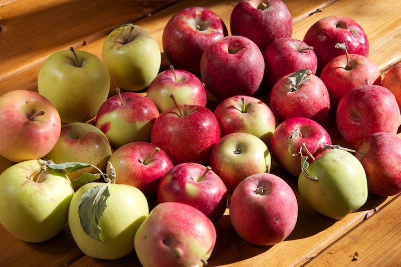 Pommes biologiques du Québec