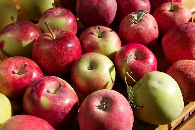Pommes biologiques du Québec