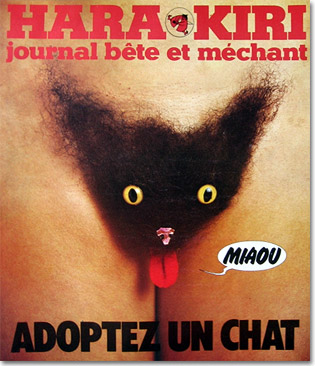 Adoptez une chatte.