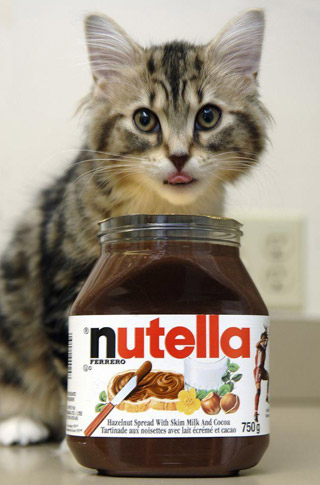 Cat & Nutella.
