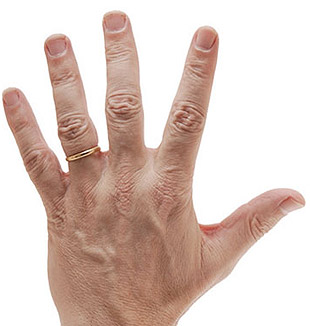 Main gauche de François Bayrou.