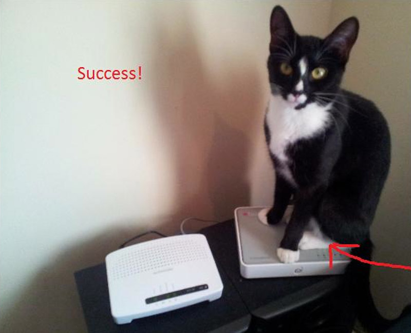 router-cat-be-2012-1.