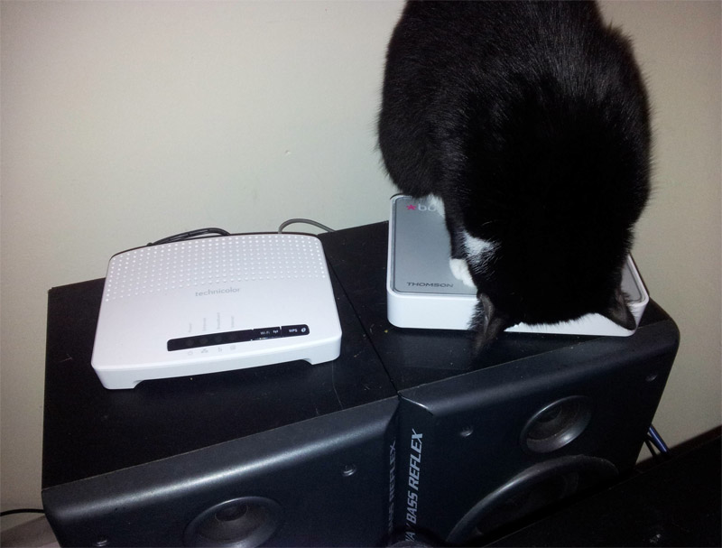 router-cat-be-2012-2.
