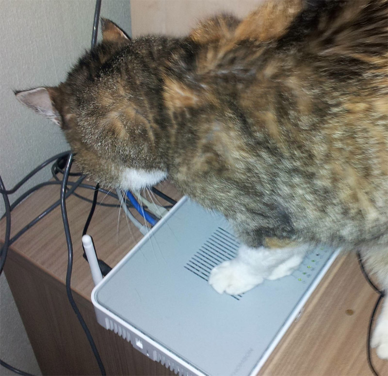 router-cat-be-2012-3.